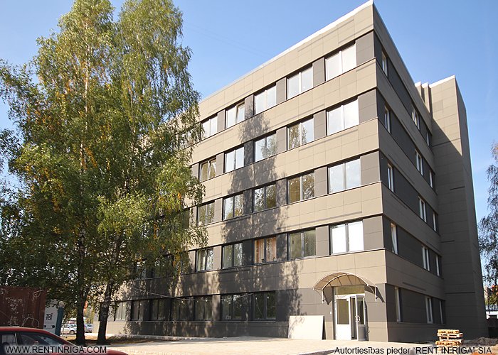 Ganību dambis 31 1