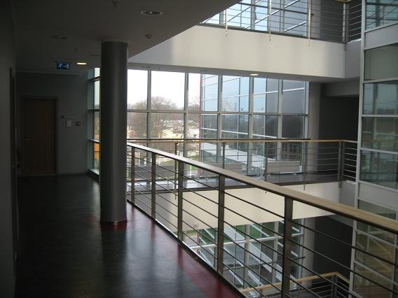 Duntes 8