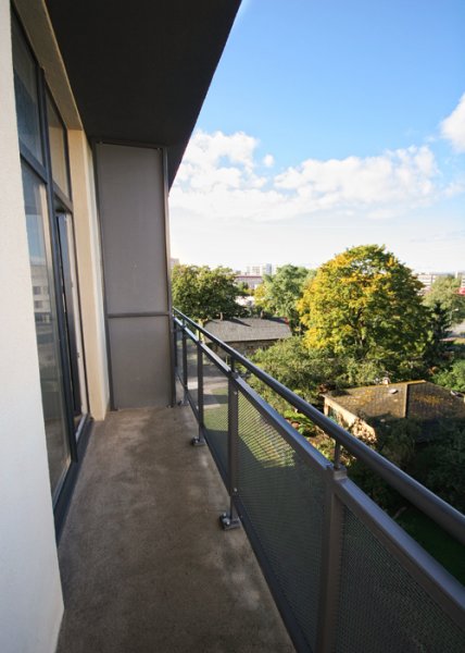 Pūces 43 ; 45 ; 47 ; 49 9