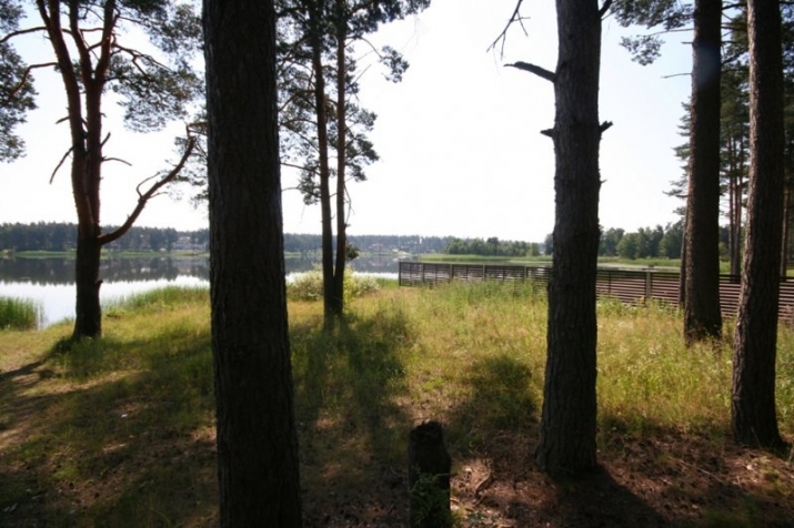 Sapņu iela 1 1