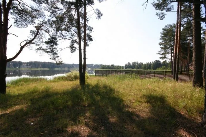 Sapņu iela 1 3
