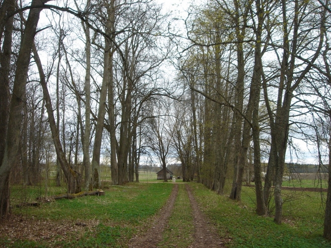 Vilkmuiža 1 5