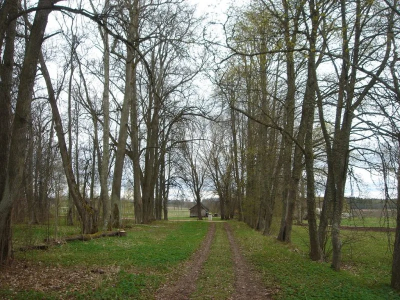 Vilkmuiža 1 5