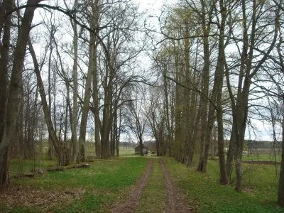 Pārdod māju, Vilkmuiža 1, Smiltenes novads, Bilskas pagasts / 58 000 € 5