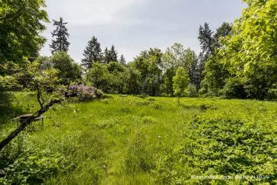 Land plot For Sale, Ščecinas street 6, Rīga, Labais krasts, Mežaparks / 425 000 € 13