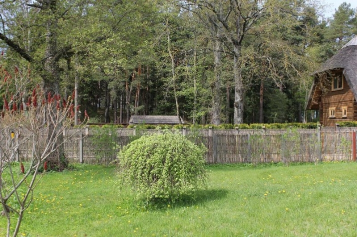 Jūras prospekts 30a 4