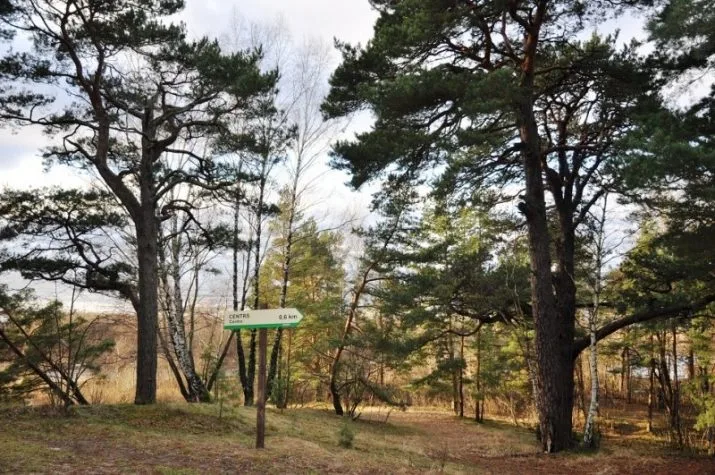 Аренда дома, Liepu улица 4, Saulkrastu novads, Saulkrasti / 1 500 € 14