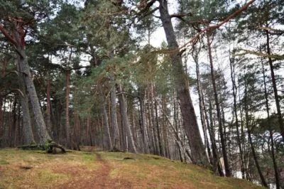 Аренда дома, Liepu улица 4, Saulkrastu novads, Saulkrasti / 1 500 € 17