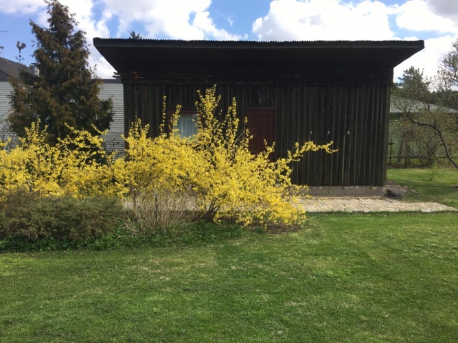 Image 1 of 22
