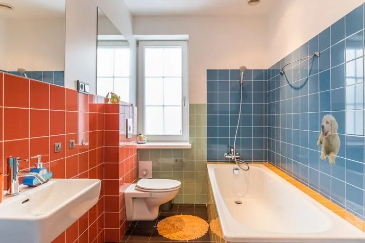 Продажа дома, Annas улица 5, Ādažu novads, Baltezers / 460 000 € 19