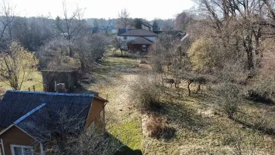 Pārdod zemi, Sūnu iela 12, Jūrmala, Melluži / 88 000 € 7