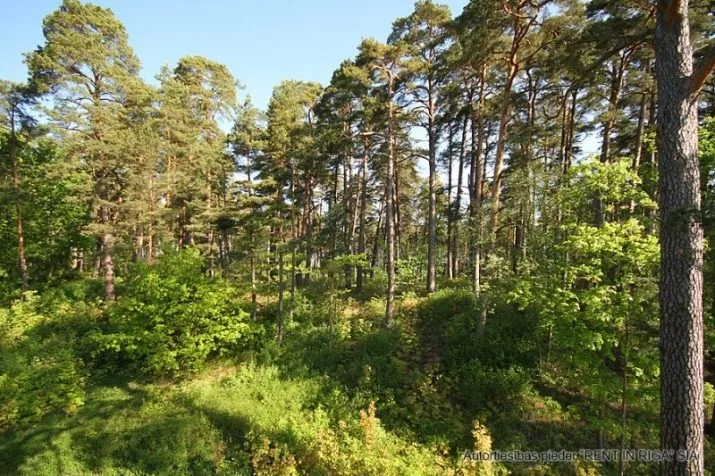 Продажа дома, Līgatnes улица 3, Jūrmala, Jaundubulti / 1 499 999 € 19