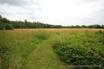 Продажа дома, Kalniņi улица 1, Ogres novads, Ogresgala pagasts / 109 000 € 8