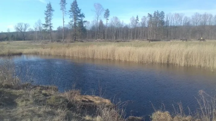 Katlāpu Apari .. 6