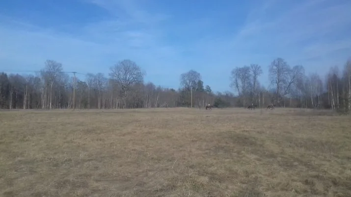 Katlāpu Apari .. 4