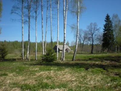 Продажа земли, Caunas b/n, Salacgrīvas novads, Liepupes pagasts / 80 000 € 4