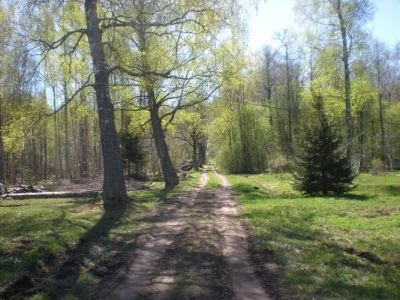 Продажа земли, Caunas b/n, Salacgrīvas novads, Liepupes pagasts / 80 000 € 2