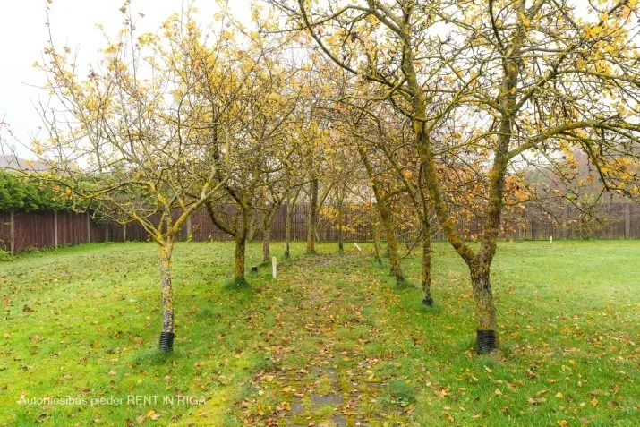 Pārdod māju, Kabiles iela 29, Mārupes novads, Mārupe / 430 000 € 55