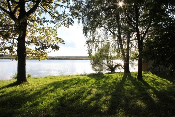 Rīgas iela 6 5