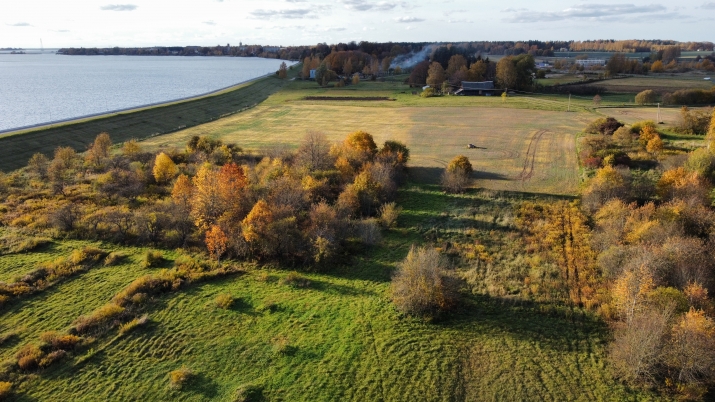 Līvciema iela - 10