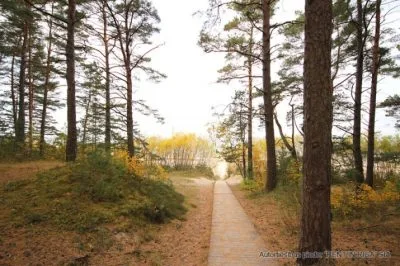 Pārdod māju, 18. līnija iela 1a, Jūrmala, Bulduri / 2 000 000 € 37