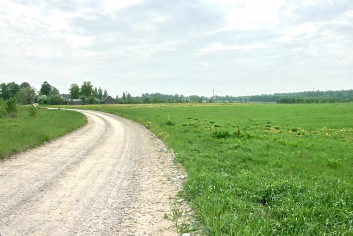 Sauleszieds 0 2