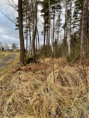 Laučurgas .. 18