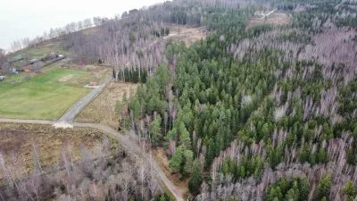 Pārdod zemi, Laučurgas .., Limbažu novads, Skultes pagasts / 149 000 € 3