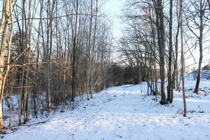 Strautu iela 19 2