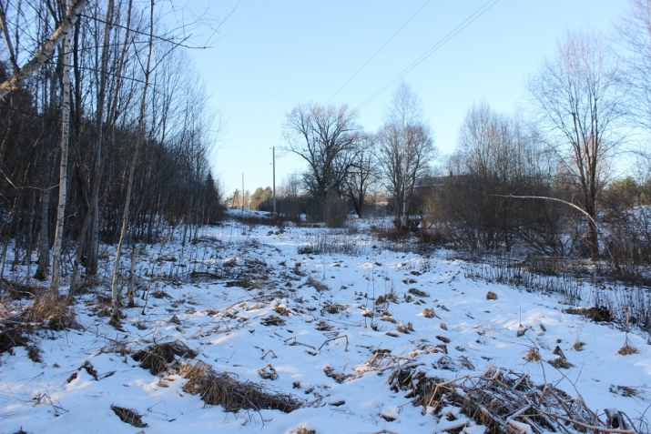Dzirkstis 1 3