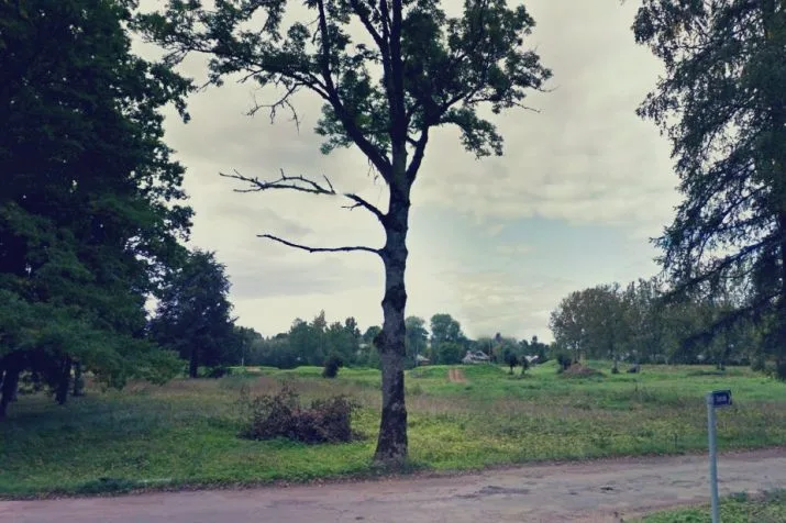 Baznīcas iela 23 2