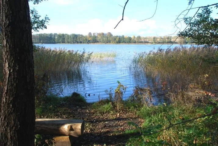 Pukšas 0 7