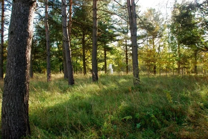 Pukšas 0 5