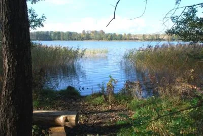 Land plot For Sale, Pukšas 0, Limbažu novads, Limbaži / 79 000 € 7