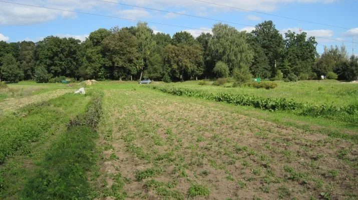 Pliederu iela 2 4