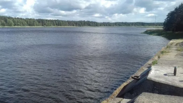 Pārdod zemi, Dzintaru iela b/n, Rīga, Kreisais krasts, Bolderāja / 85 000 € 13