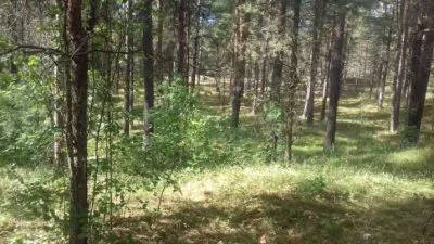 Pārdod zemi, Dzintaru iela b/n, Rīga, Kreisais krasts, Bolderāja / 85 000 € 8