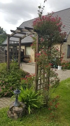 Продажа дома, Aveņu улица 4, Babītes novads, Babītes pagasts, Piņķi / 220 000 € 8