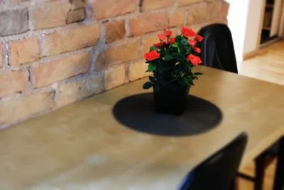 Izīrē dzīvokli, Matīsa iela 89a, Rīga, Labais krasts, Centrs / 350 € 6