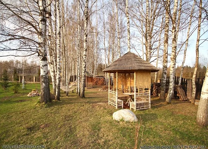 Izīrē māju, Pils iela 5, Siguldas novads, Sigulda / 1 800 € 18