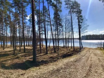 Pārdod zemi, Ronīši iela 00, Ādažu novads, Ādaži / 370 500 € 3