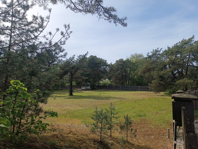 Pārdod zemi, Kalnapriedes ., Engures novads, Lapmežciema pagasts, Lapmežciems / 150 000 € 10