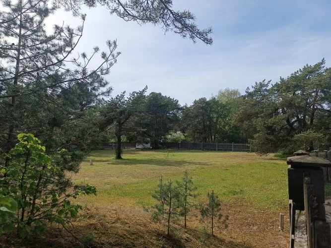 Investment object For Sale, Kalnapriedes street ., Engures novads, Lapmežciema pagasts, Lapmežciems / 150 000 € 8