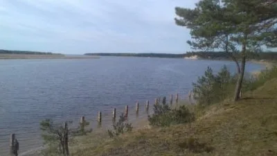 Pārdod zemi, Vārnukroga ceļš 2005-50, Jūrmala, Priedaine / 55 000 € 2