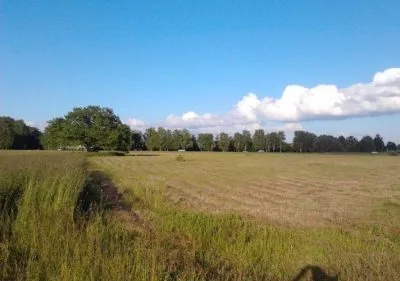 Land plot For Sale, Dimantlauki street 1, Ādažu novads, Ādaži / 347 700 € 4