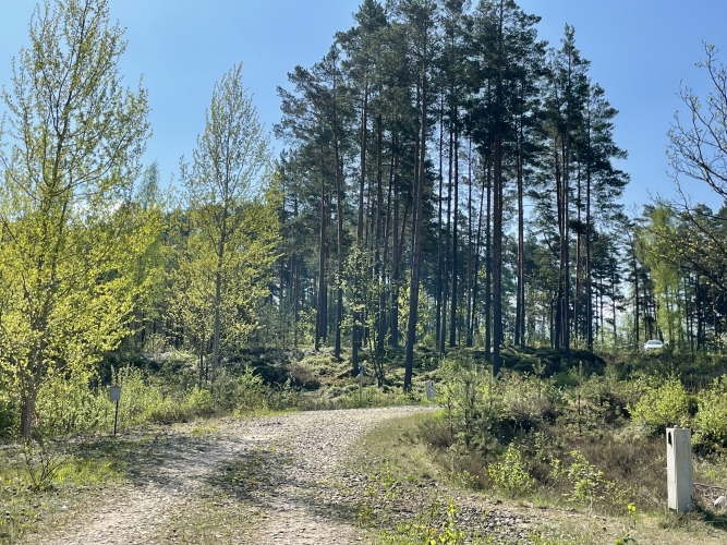 Sauleskalna iela 1 1