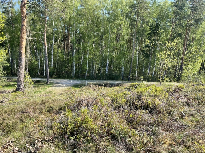 Sauleskalna iela 1 4