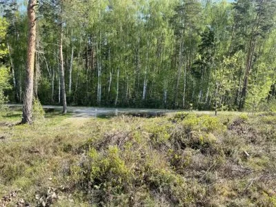 Продажа земли, Sauleskalna улица 1, Carnikavas novads, Carnikava / 47 000 € 4