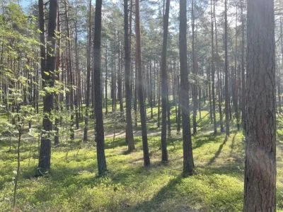 Продажа земли, Sauleskalna улица 1, Carnikavas novads, Carnikava / 47 000 € 7