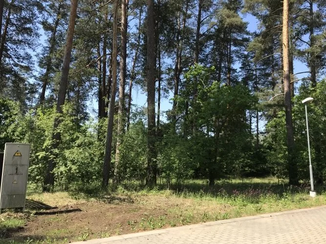 Jaungožu iela 8 4